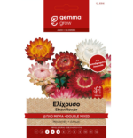 12556 Gemma