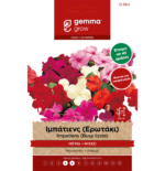 12564 Gemma