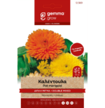 12569 Gemma
