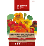 12572 Gemma
