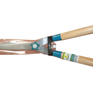 Image-product