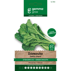 Ανώνυμο σχέδιο