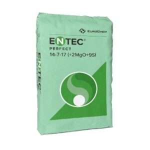 Mockup Bag Entec Perfect 14 7 17 2mgo9s Greenfoilwhite 25kg 392x530