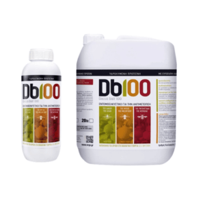 Db100