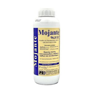 Mojante