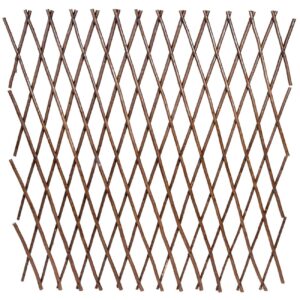 Image-product