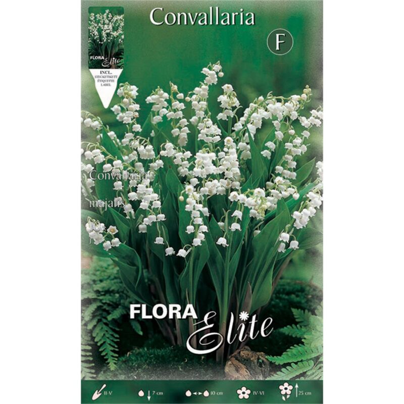 Μιγκέ Convallaria 821172