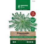 12660 Gemma