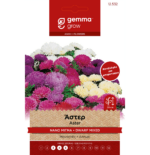 12532 Gemma