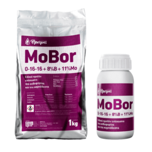Mobor
