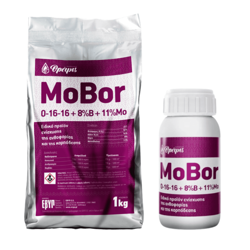 Mobor