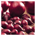Red Overwintering Onion Electric(1) (1)