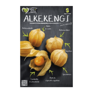 Alkekengi Bfb07153 5d17 4e8c Bb6b F163f3bbdaef 460x