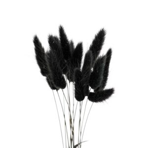 Bunny Tails Black