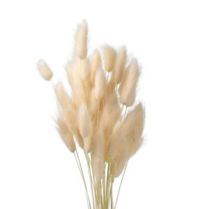 Bunny Tails Cream