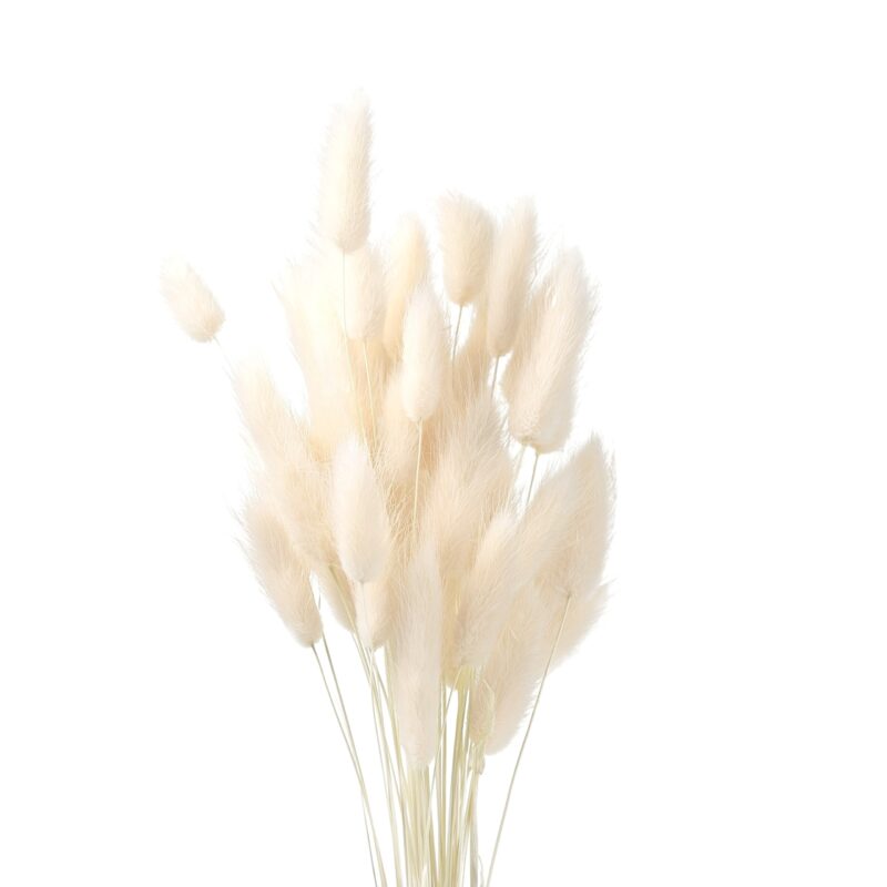 Bunny Tails White