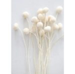 Bleached1 2172074f 4bc1 4b54 Aa78 E3d21eb8b320 1024x1024@2x