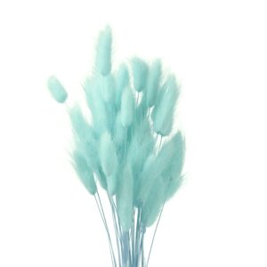 Bunnytail Blue