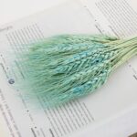 Dry Wheat Blue2