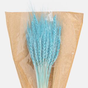 Dry Wheat Blue3