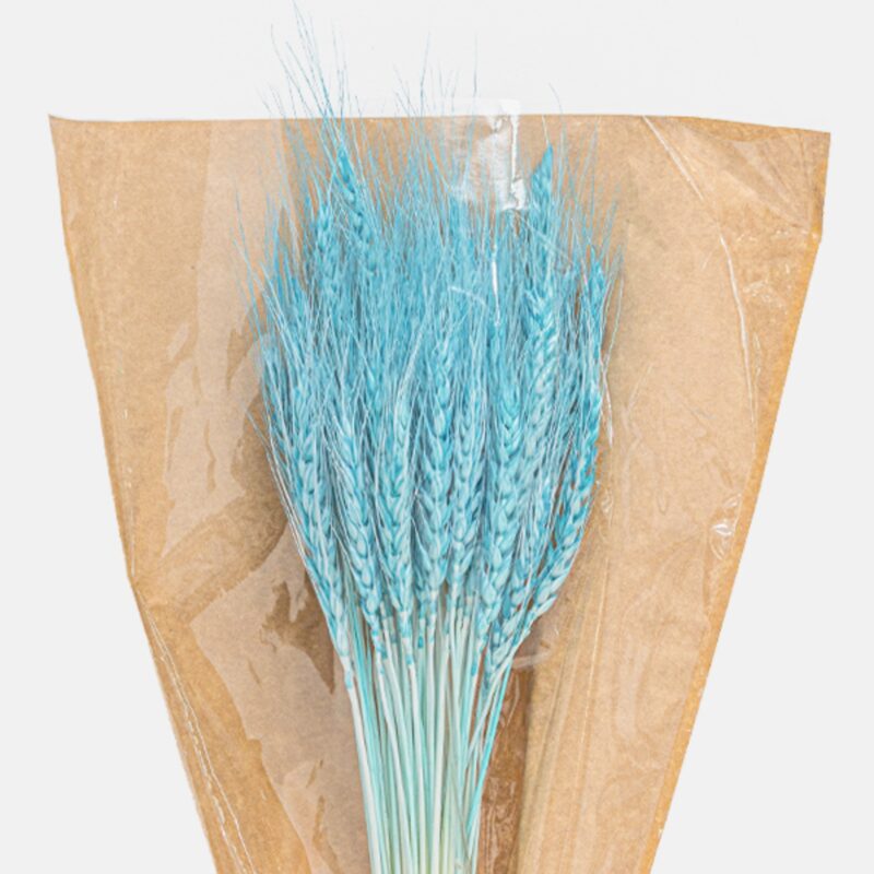 Dry Wheat Blue3