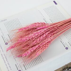 Dry Wheat Pink