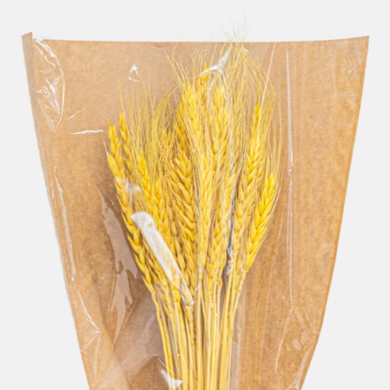 Dry Wheat Yellow2