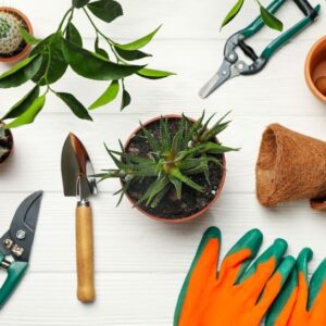GARDEN SUPPLIES AND TOOLS