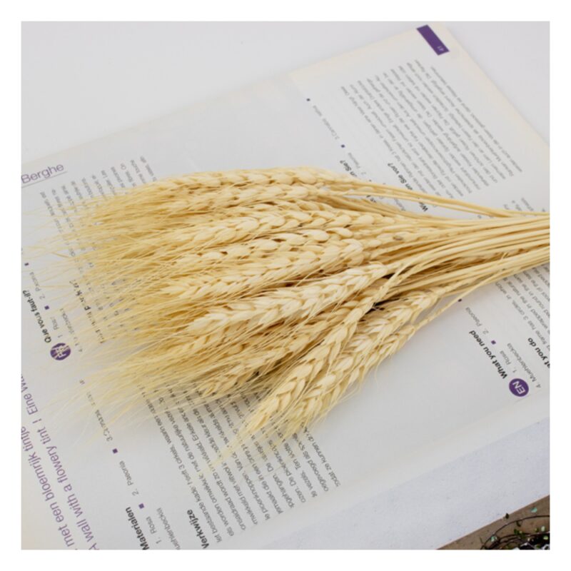 Wheat2 1655148233