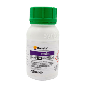 Karate 1.5
