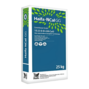 Haifa 15.5 0 0