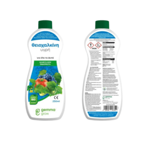 θειοχαλκινη