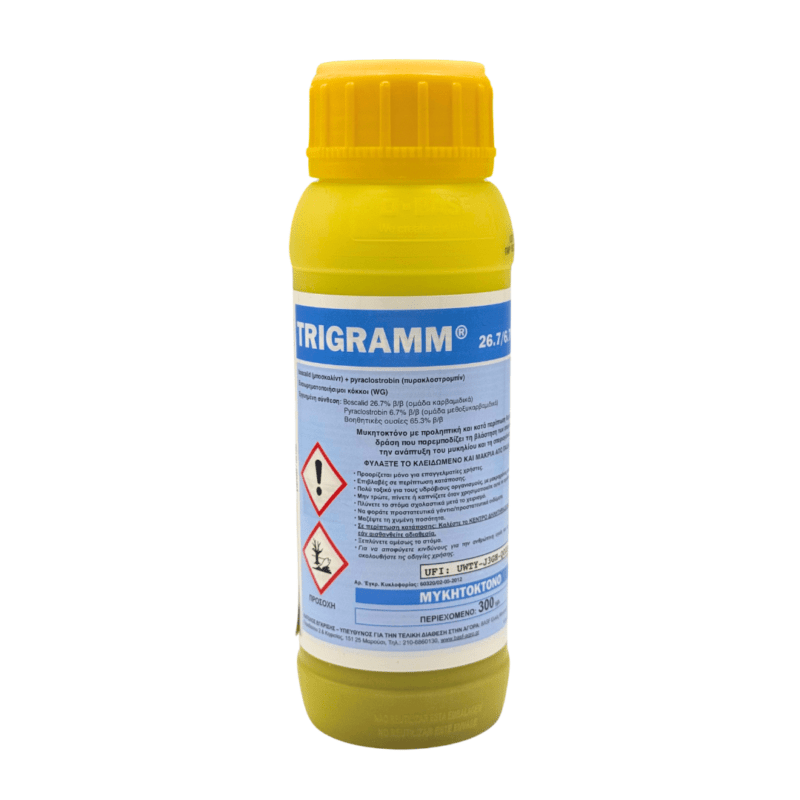 Trigramm