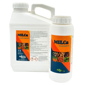 Milca