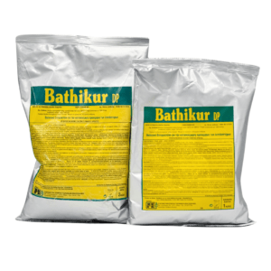 Bathikur