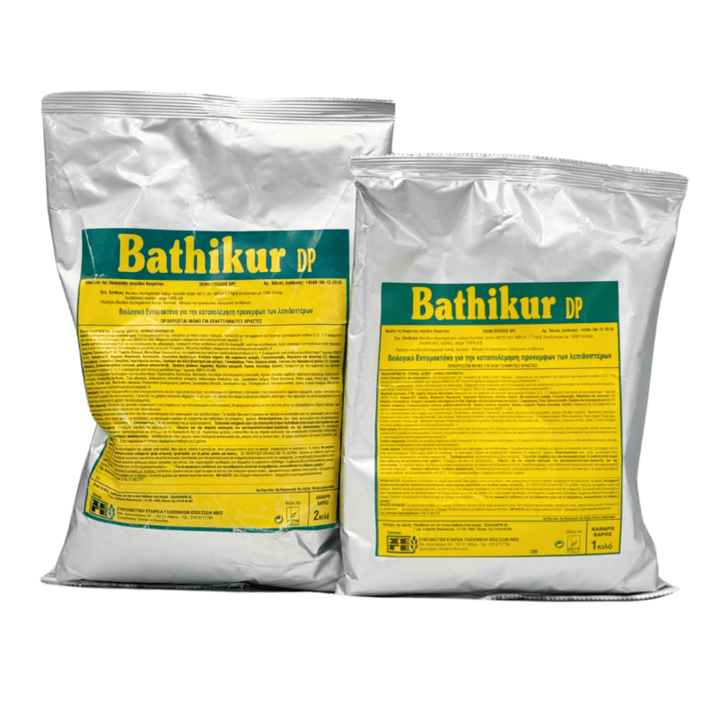 Bathikur