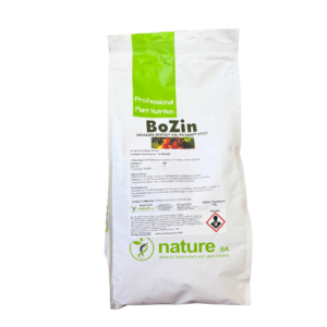 Bozin