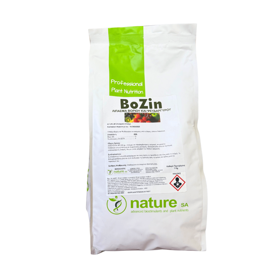 Bozin Bozin