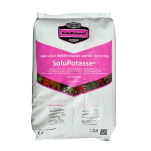 Solupotasse1