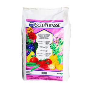 Solupotasse