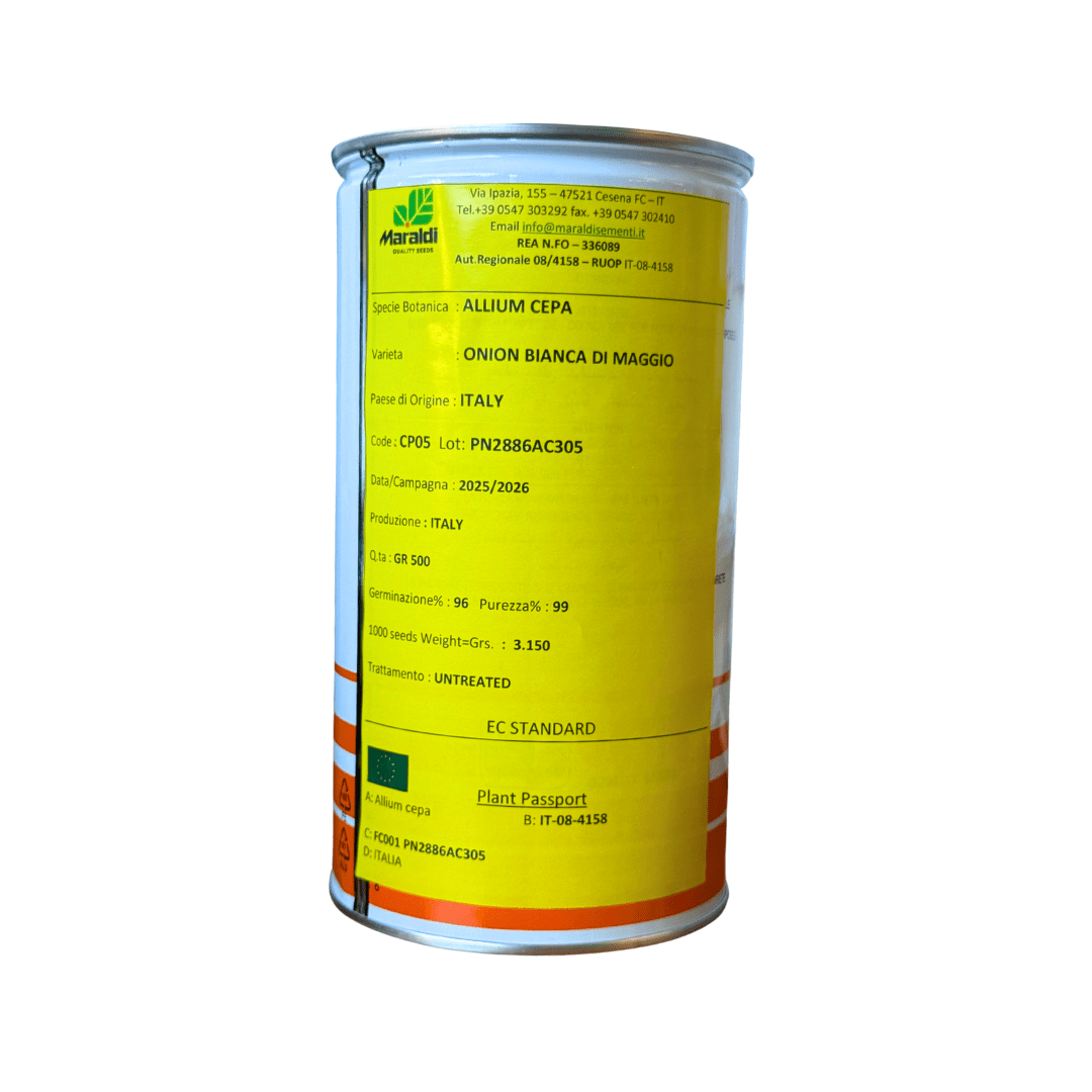 Bianca Di Maggio Bianca Di Maggio