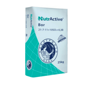 Nutractive Bor