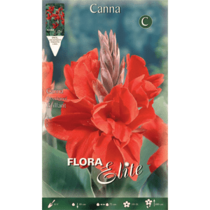 Ανώνυμο σχέδιο