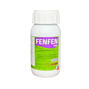 Fenfem24
