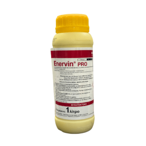 Evervin Pro