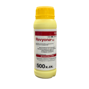 Revyona