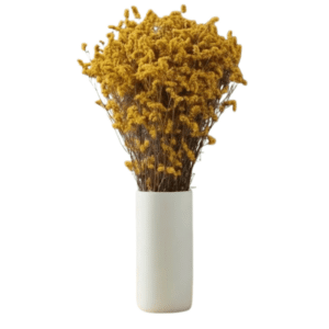 Crystal Grass Yellow